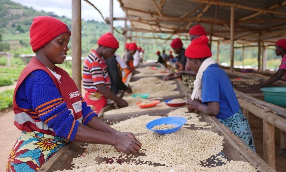 Members of Nyampinga coffee cooperative Rwanda 2 2